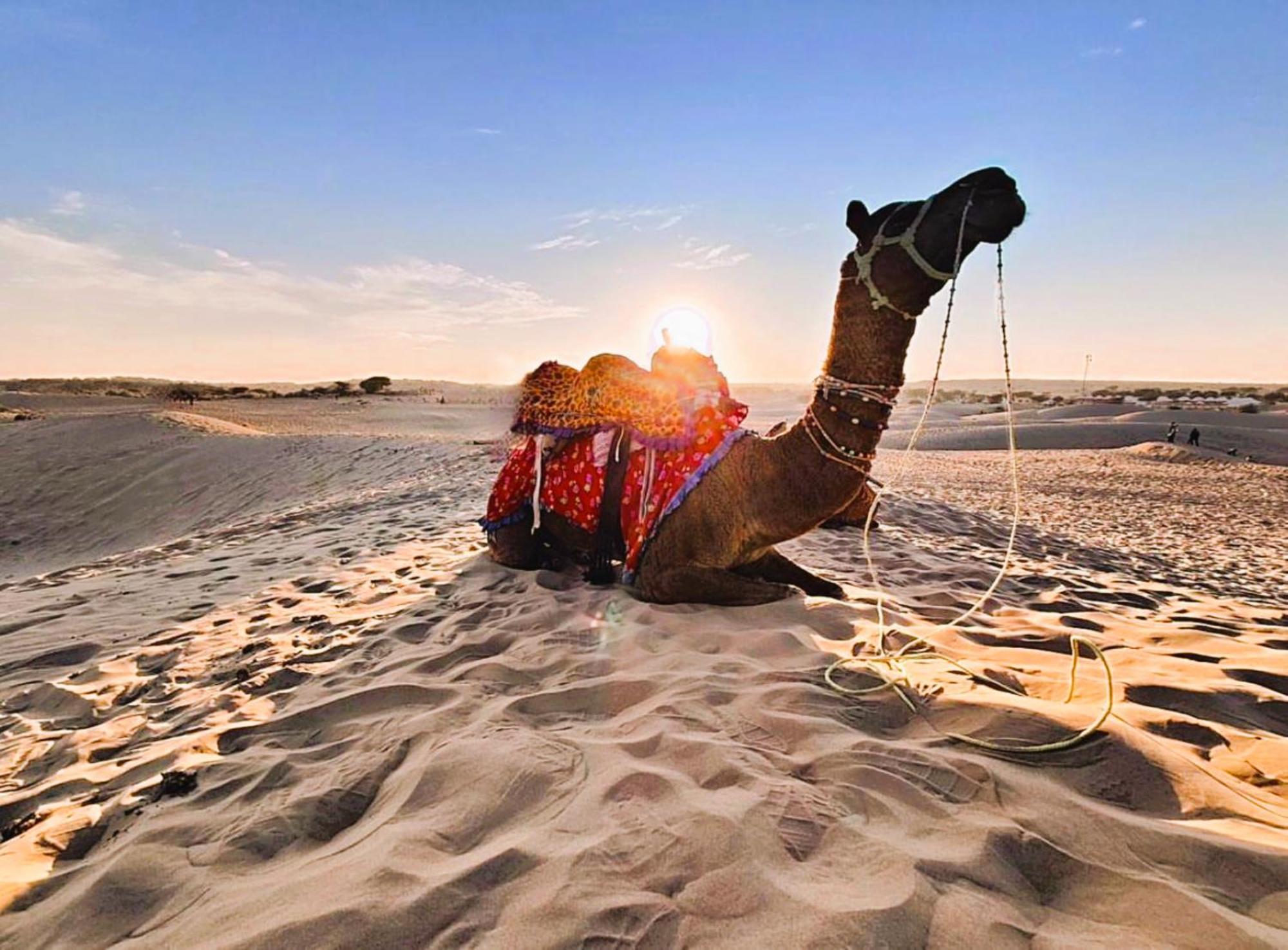 Jaisalmer Sand Dunes Luxury Camp And Resort Екстер'єр фото