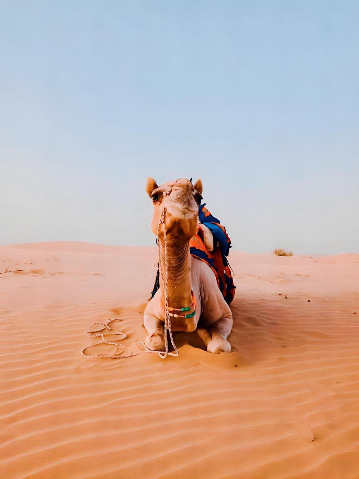 Jaisalmer Sand Dunes Luxury Camp And Resort Екстер'єр фото